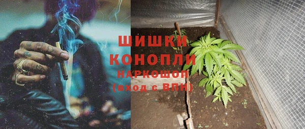 ГАЛЛЮЦИНОГЕННЫЕ ГРИБЫ Абинск