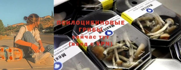 ГАЛЛЮЦИНОГЕННЫЕ ГРИБЫ Абинск