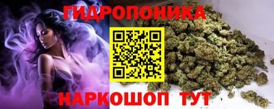 шишки Усть-Илимск