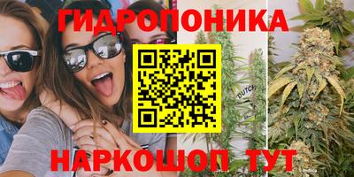 шишки Усть-Илимск