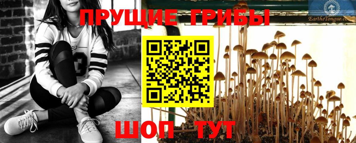 Псилоцибиновые грибы прущие грибы Дальнереченск