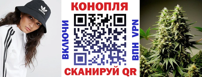 где можно купить   Дальнереченск  Бошки марихуана THC 21% 